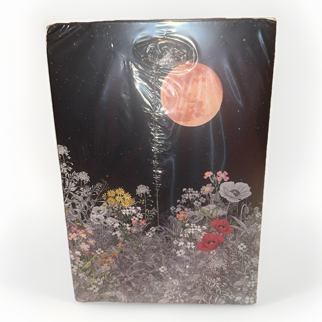 Stephanie Meyer The Twilight Saga Deluxe Collection Complete Series Boxset-New