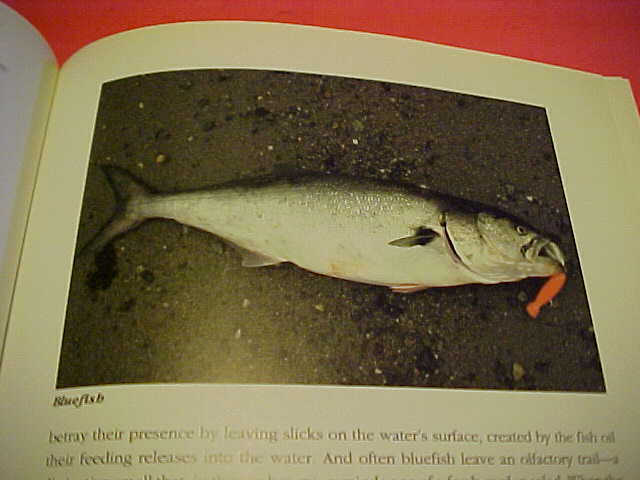 THE ILLUSTRATED ENCYCLOPEDIA OF FLY-FISHING BY SILVIO CALABI ((O)) 336 PAGES
