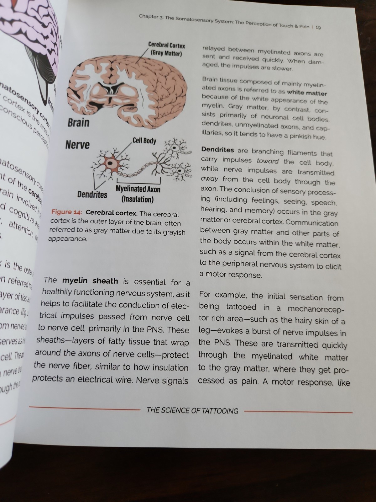 The Science of Tattooing by Warmflash, David, Used VG Condition