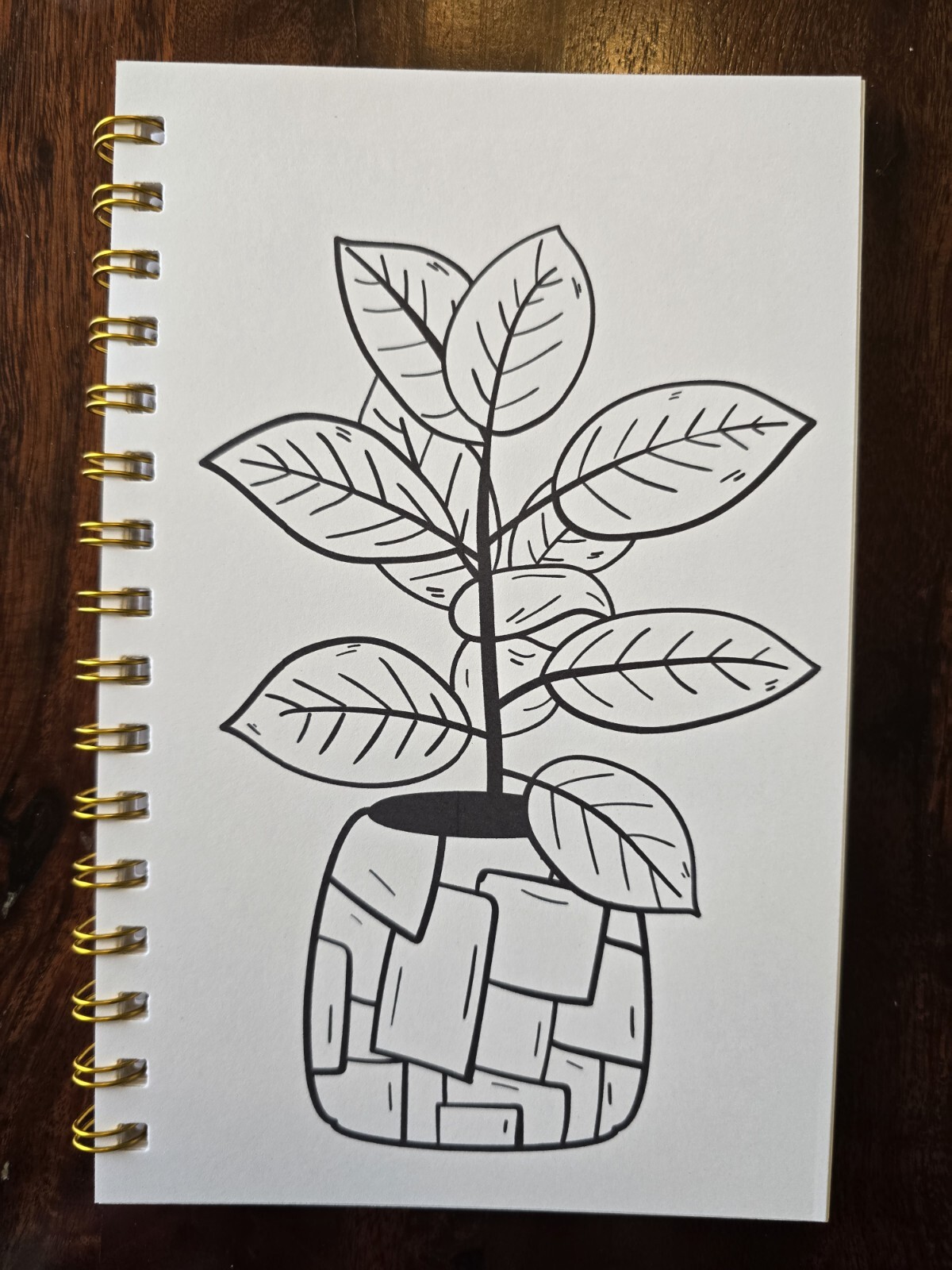 House Plants Coloring books for adults. A5 Size Coloring Book 8.5 in X 5.5 in.