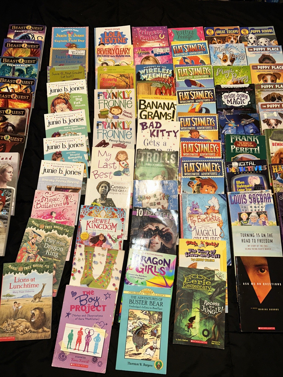 Bulk/Huge Lot of 108 of Children’s Kids Chapter Books -Large Assortment