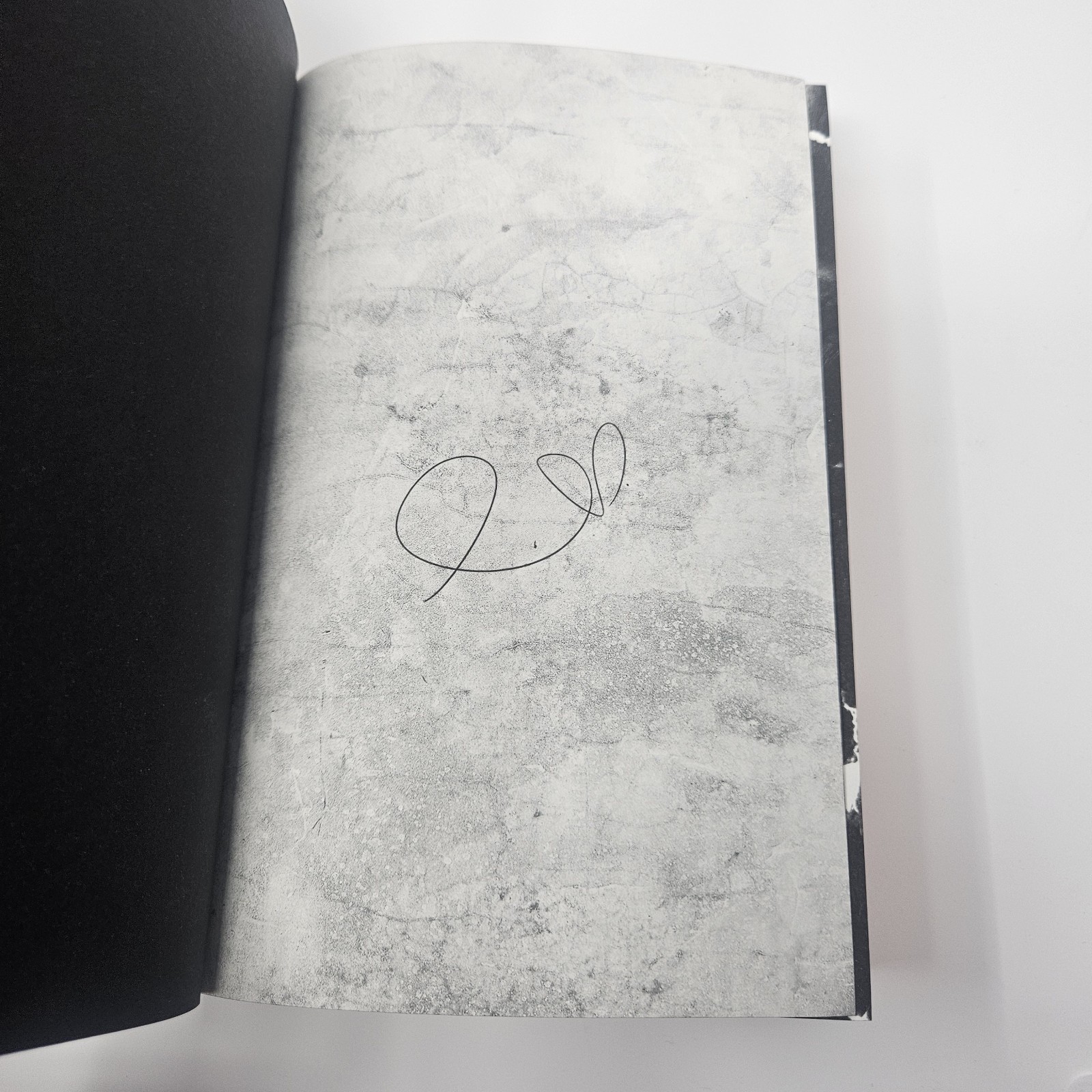 SIGNED! NEW! Brimstone Deluxe Limited Edition By Callie Hart Hardcover
