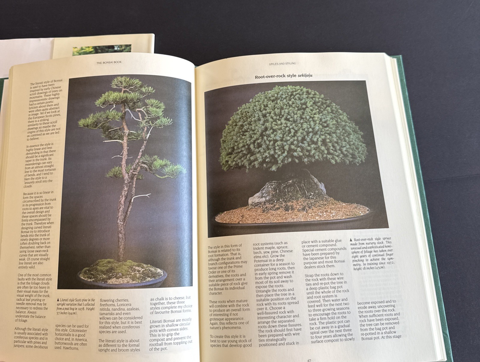 The Bonsai Book (HARD BACK GREEN) Barton, Dan SIGNED/EBURY PRESS, GB 1989