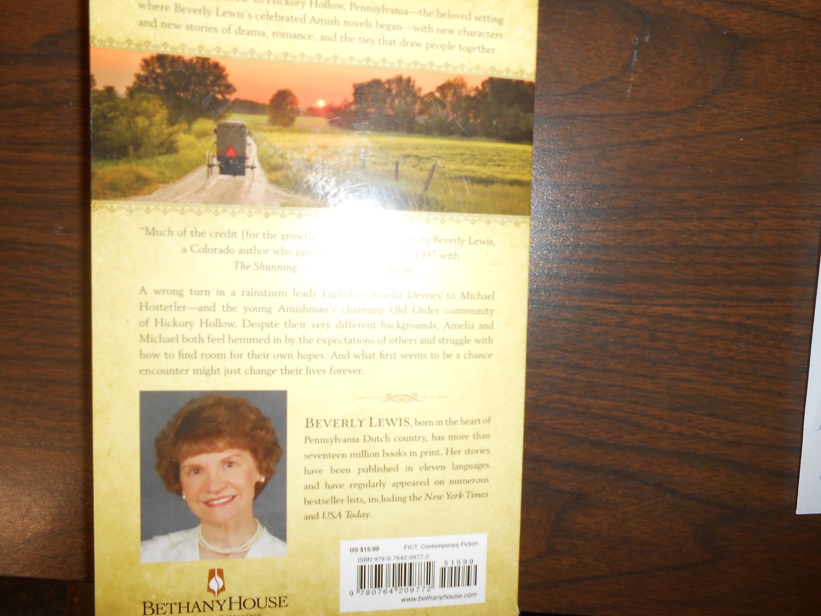 THE FIDDLER -BEVERLY LEWIS – 336 PAGES – PAPERBACK – PRE-OWNED – GOOD