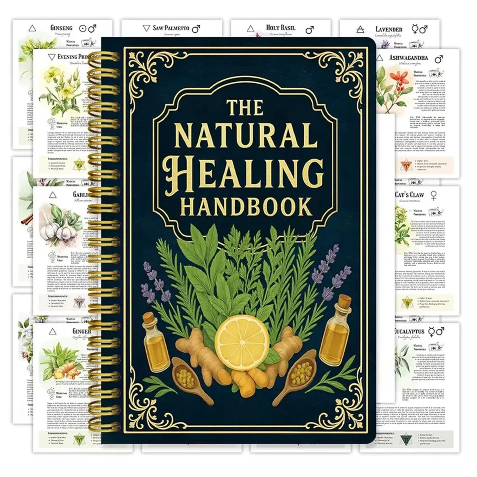 The Natural Healing Handbook Spiral-Bound Guide for Herbal Remedies & Natural