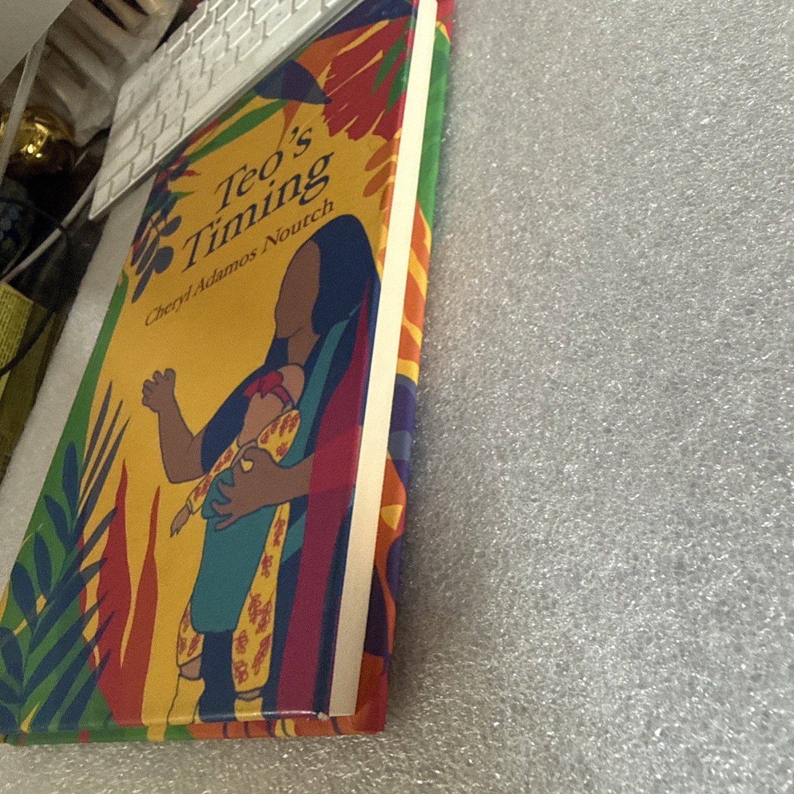 Teo’s Timing – Cheryl Adamos Noutch (English) Hardcover Book