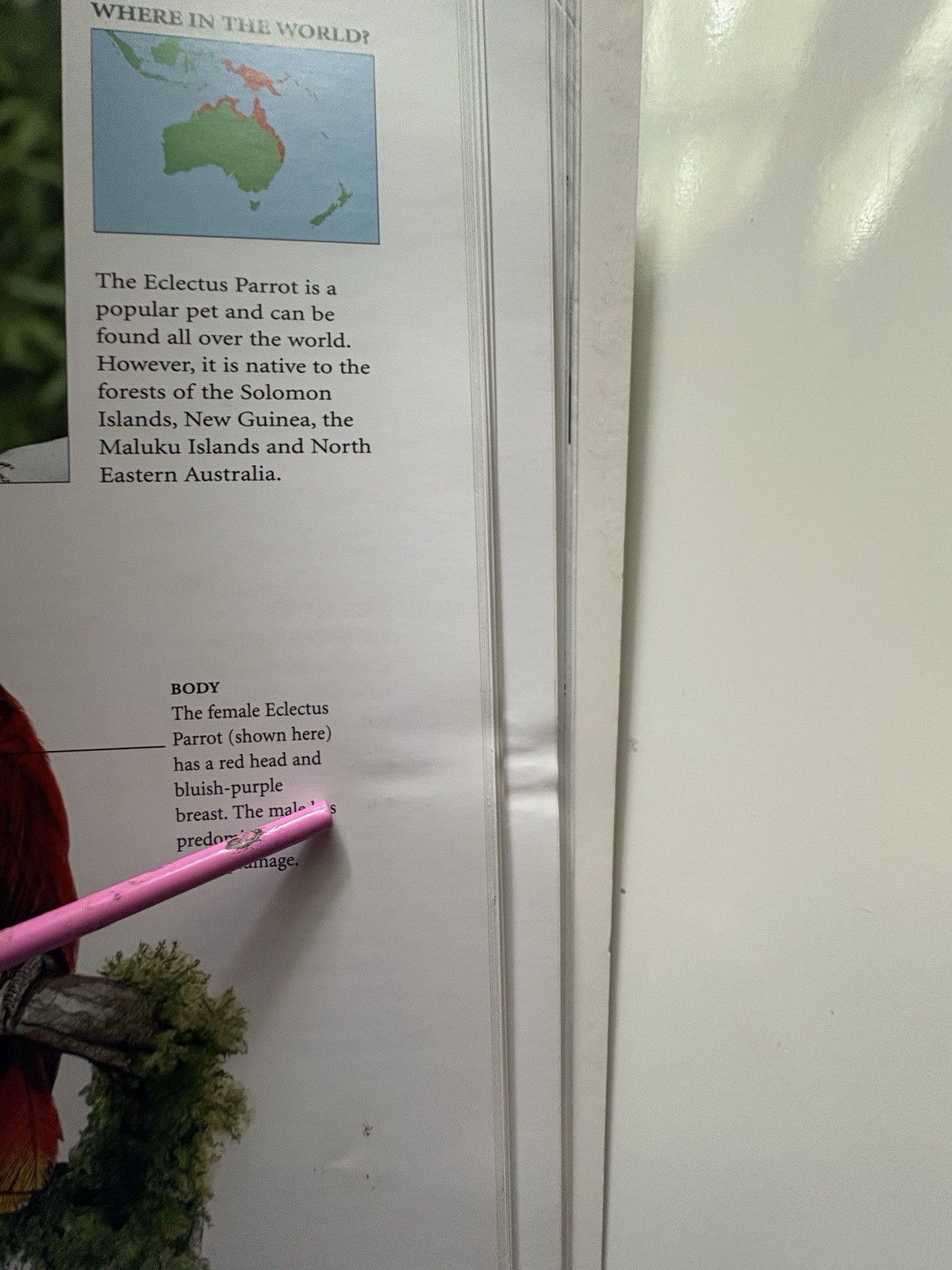 Encyclopedia of Birds: 400 Species from Around the World 448 Pages 9″x12″