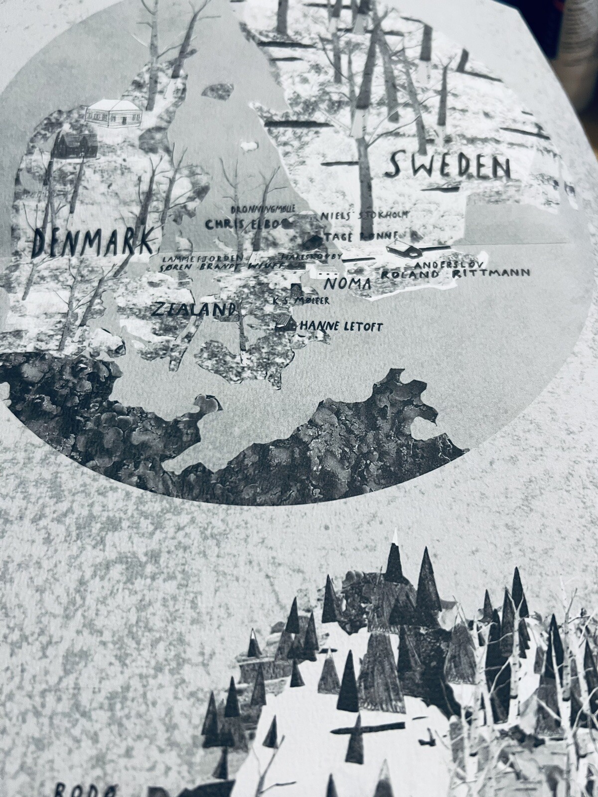 NOMA: Time & Place in Nordic Cuisine; Brand New, 367 pages.