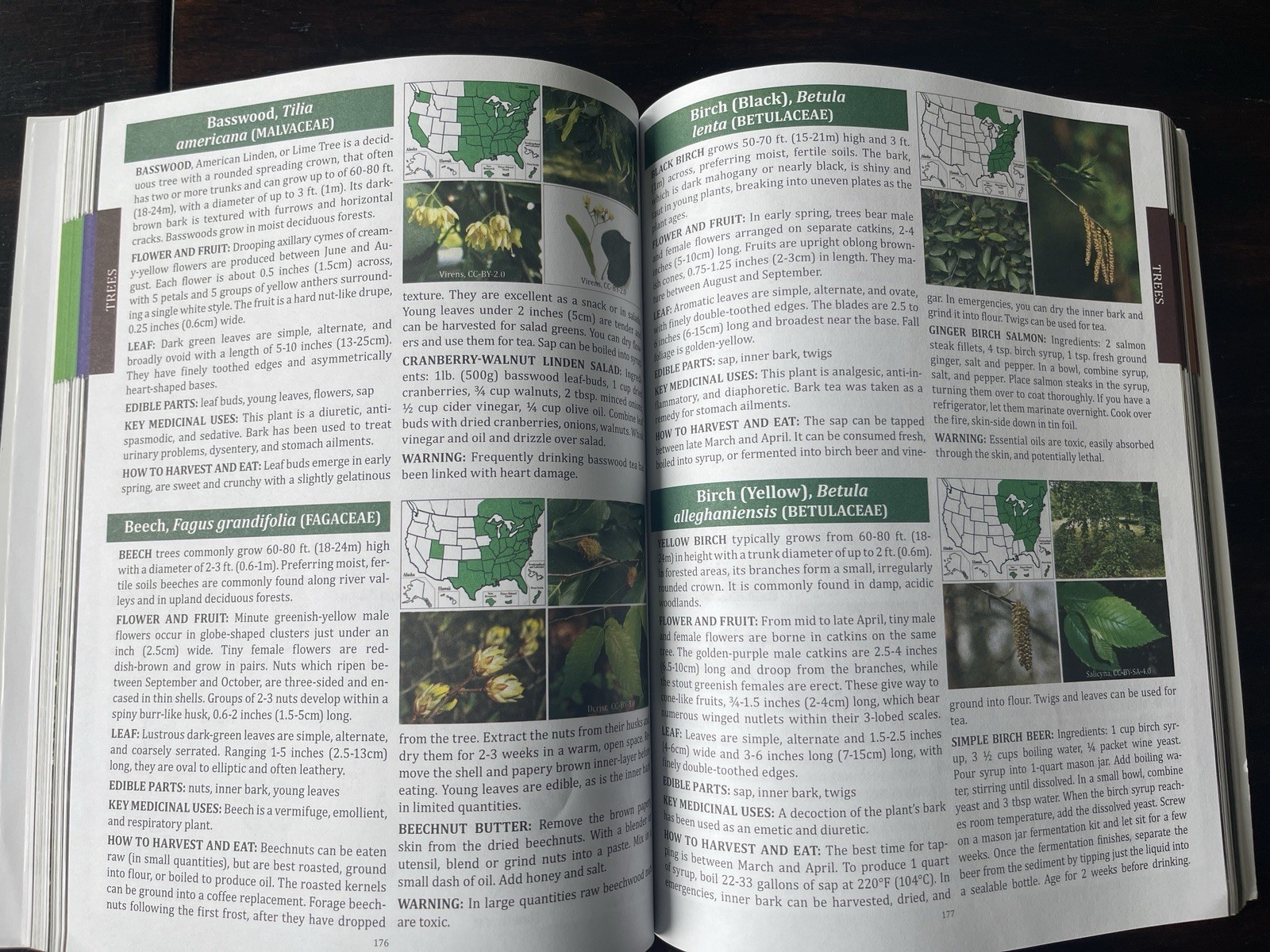 The Forager’s Guide to Wild Foods North American Edition by Nicole Apelian