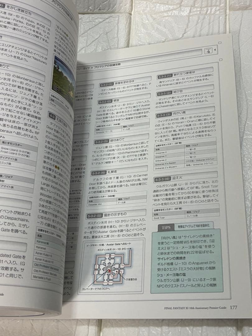 Final Fantasy XI Guide 2013 Weapons & Armor Navigation Game Strategy 8.27 x 11 i
