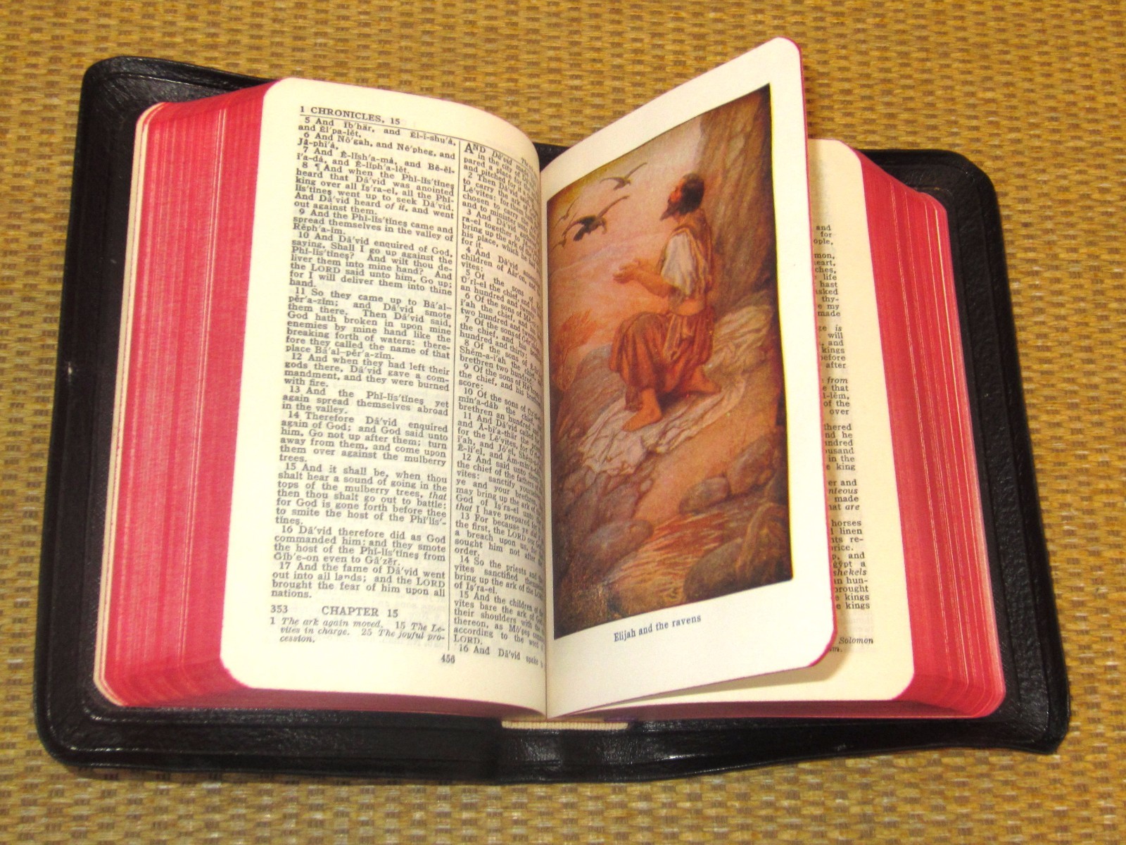 INTERNATIONAL Holy Bible | KJV STUNNING Leather Compact (4.25″ x 6.5″) in BOX