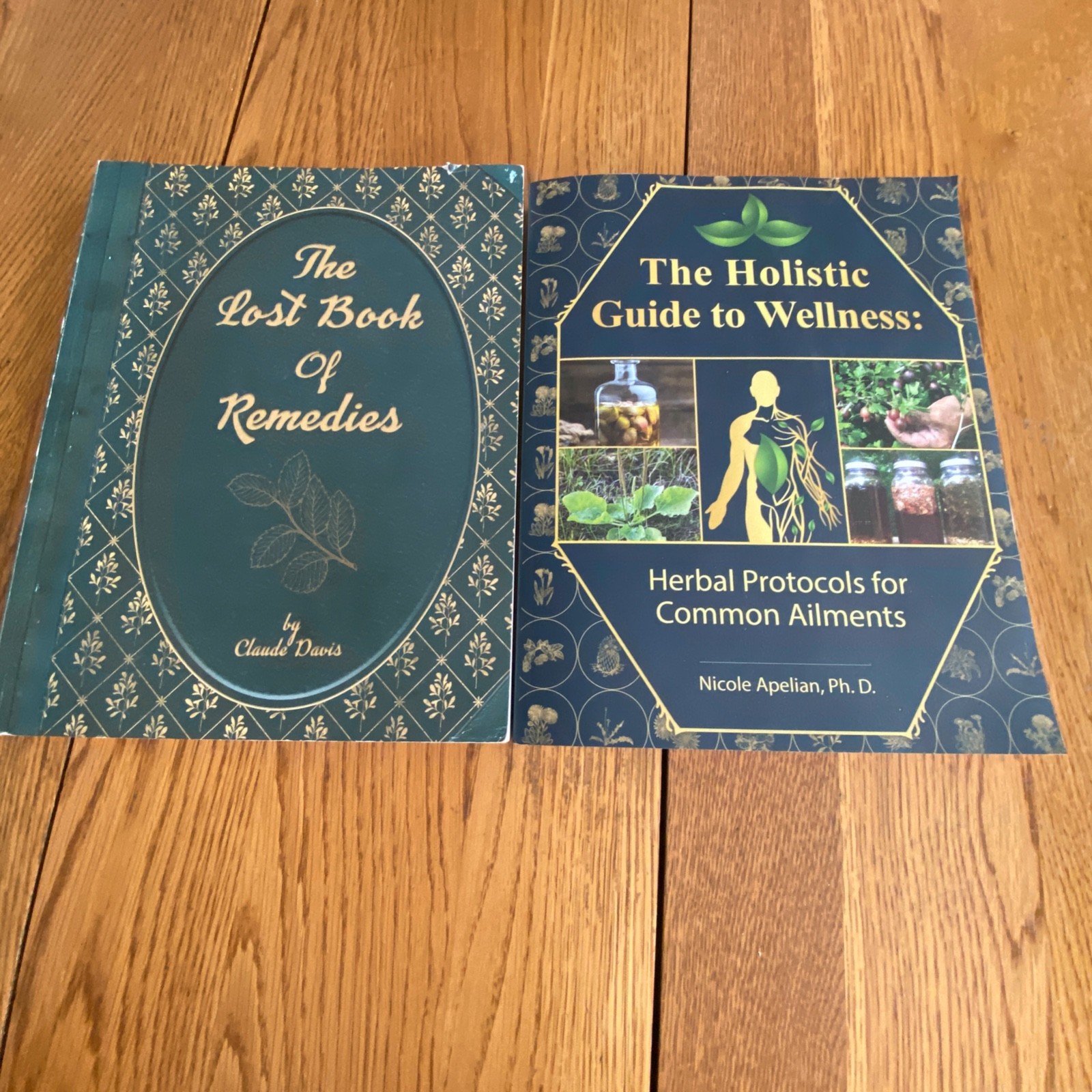 Holistic Guide to Wellness & Lost Book of Herbal Remedies Paperback