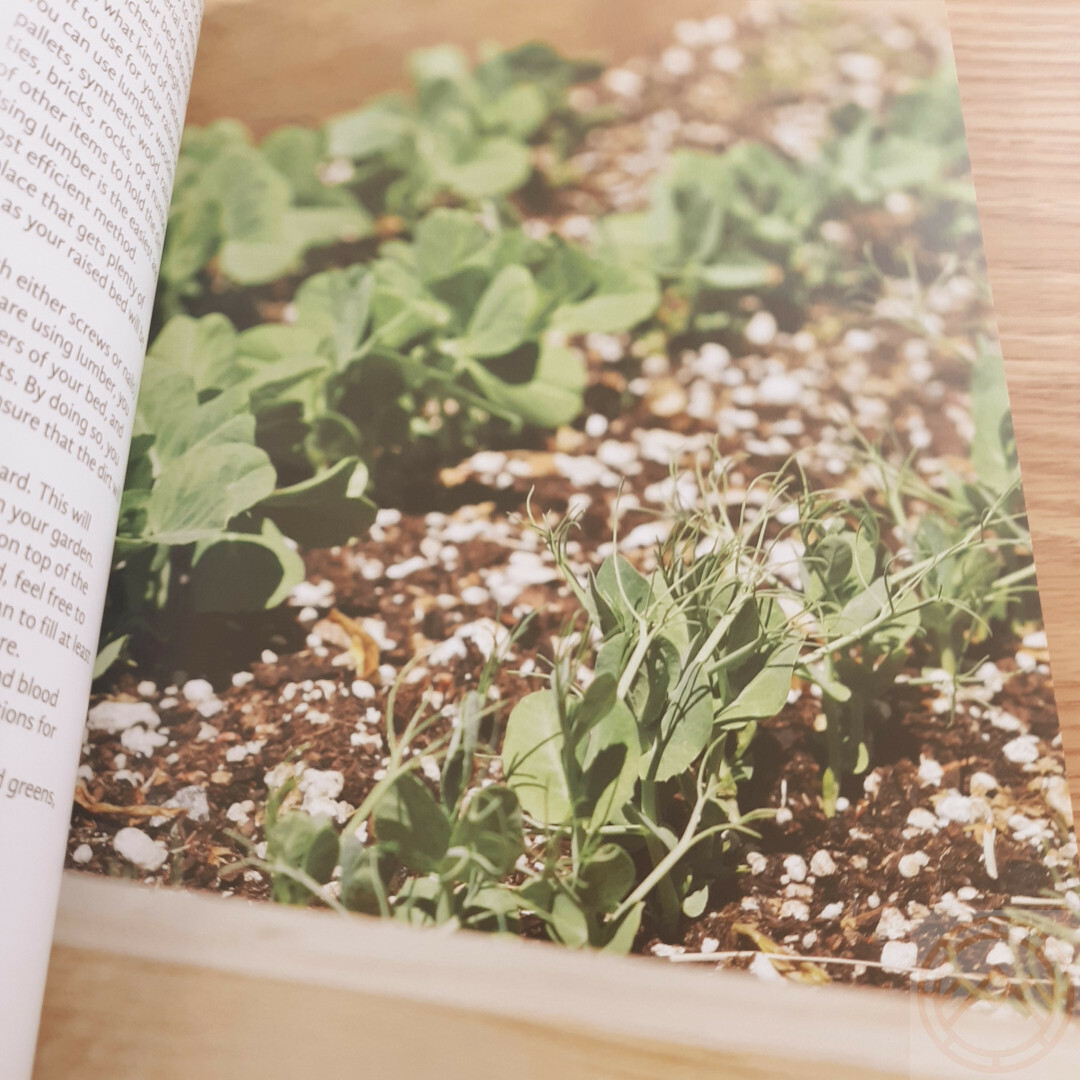 Self-Sufficient Living Book Step-By-Step Make Cheese Shampoo Butter Tips Tricks
