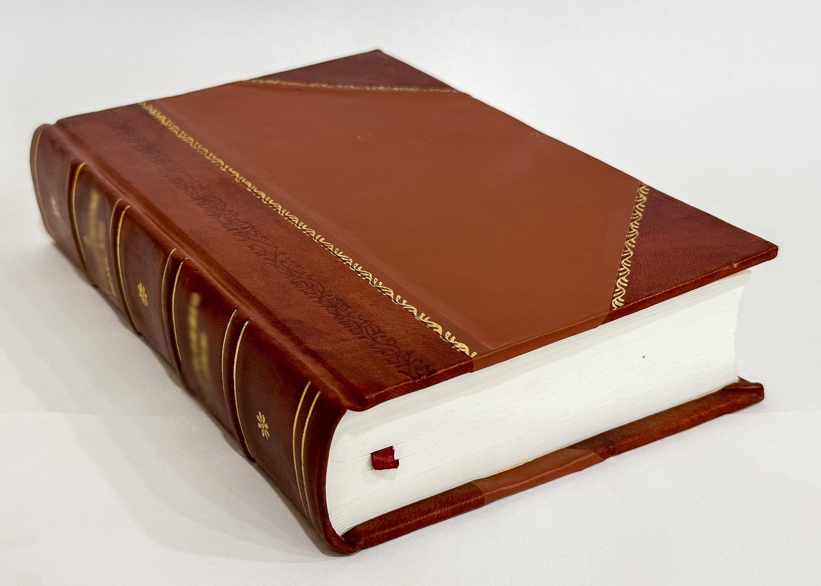 La Sankta Biblio; Malnova Kaj Nova Testamentoj Tradukitaj El La [Leather Bound]