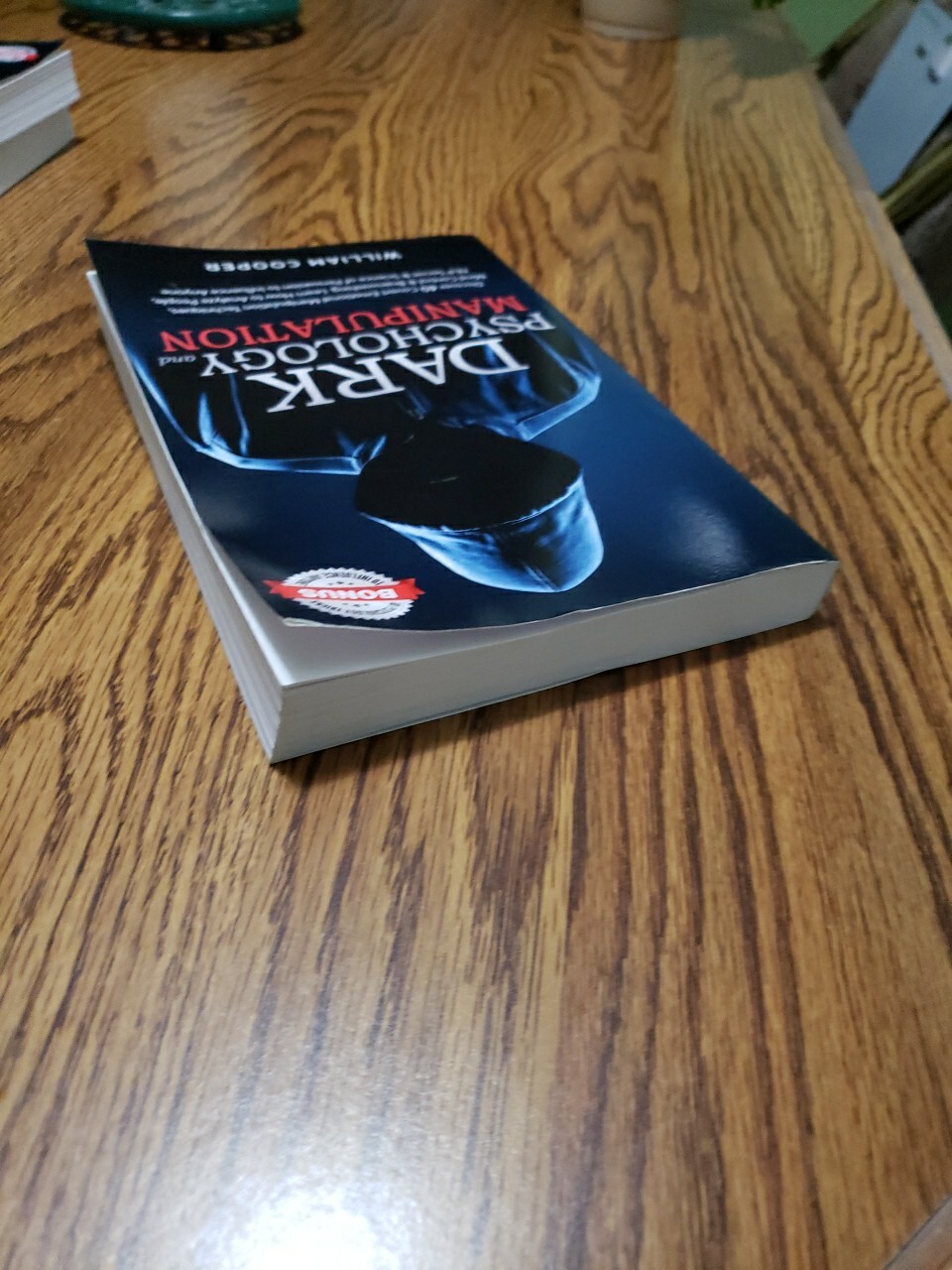 William Cooper Dark Psychology and Manipulation (Paperback) Mind Control New