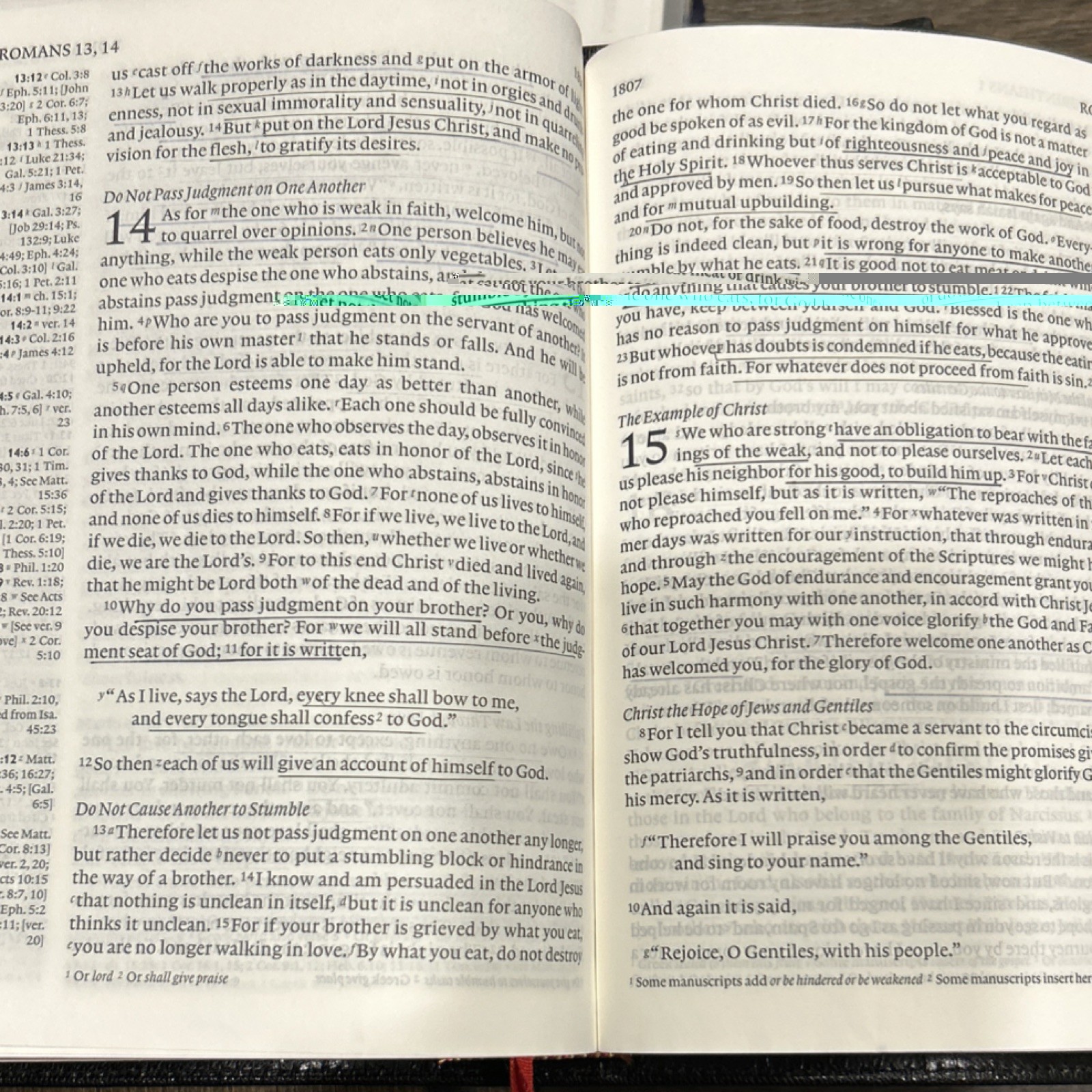Cambridge Holy Bible English Standard Version Leather Bound Religious Bible