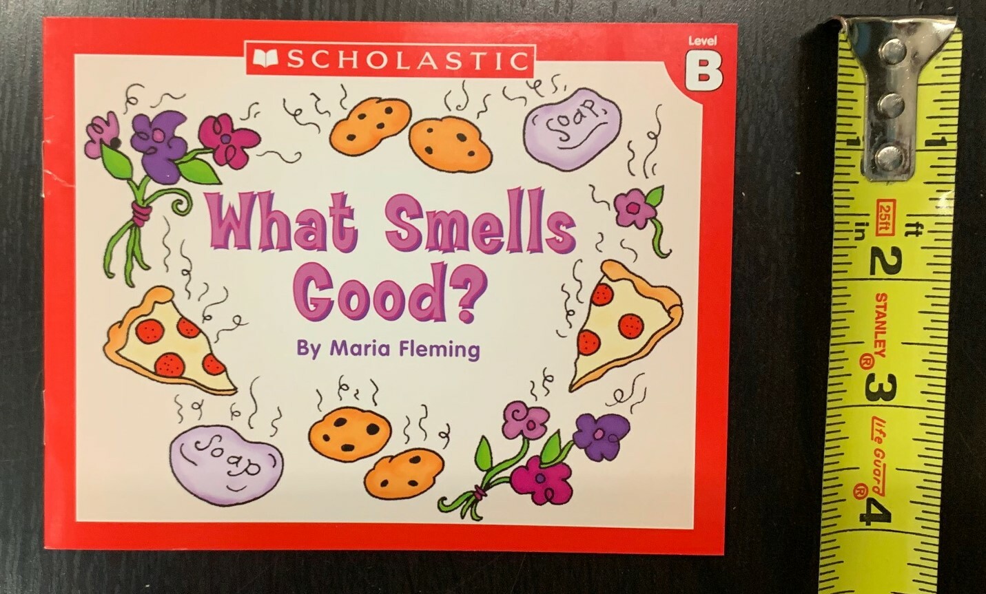 Learn to Read Books Lot 60 Easy Little Leveled Early Beginning Readers Phonics