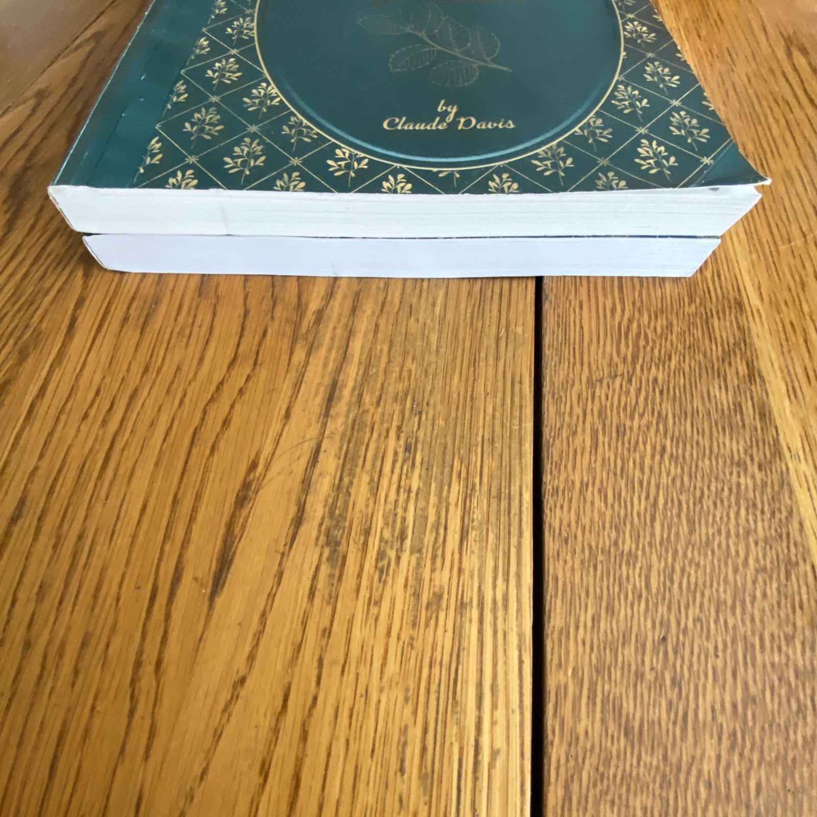 Holistic Guide to Wellness & Lost Book of Herbal Remedies Paperback