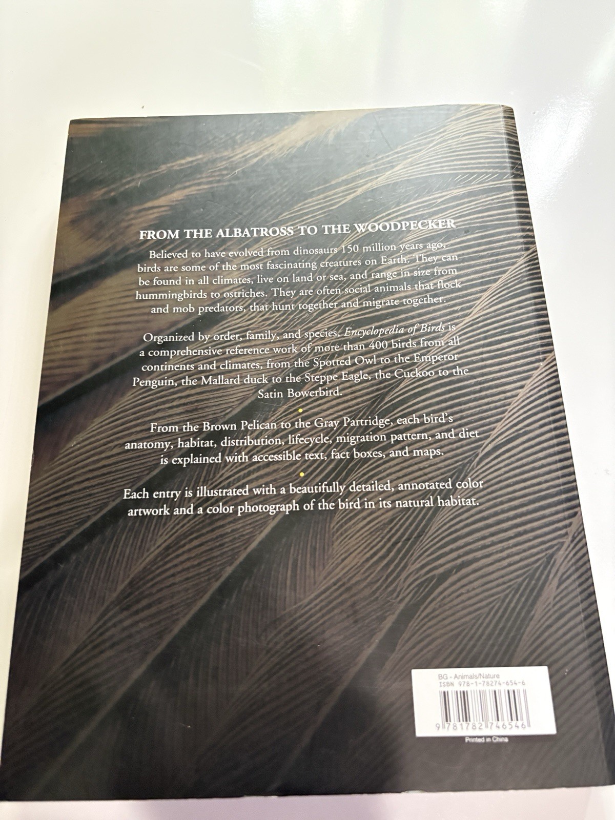 Encyclopedia of Birds: 400 Species from Around the World 448 Pages 9″x12″