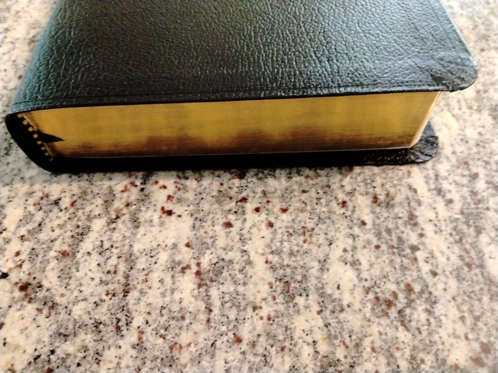 Black/Bonded Leather Bible Premium NRSV New Revised Standard Version Gilded edge