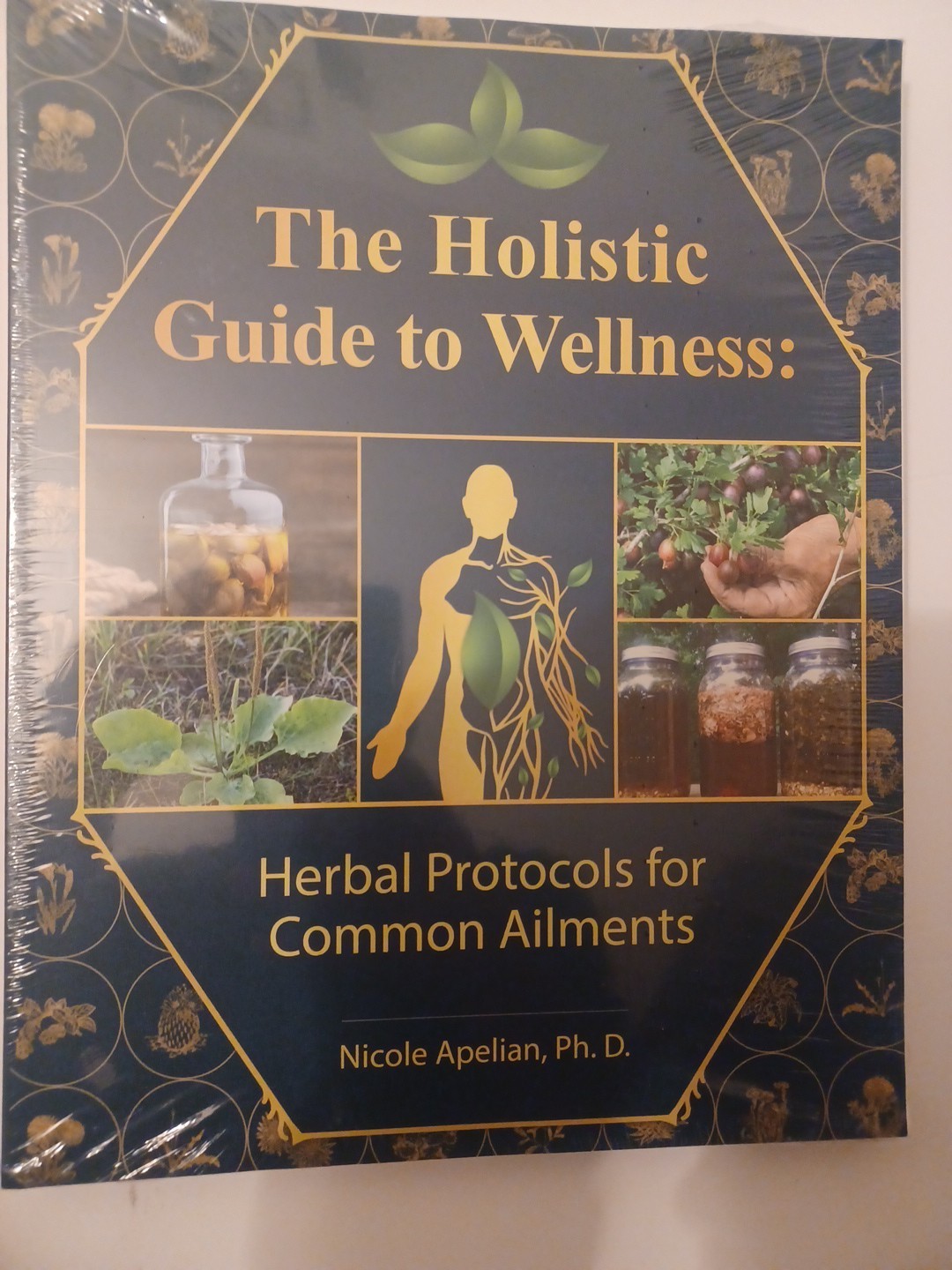 The Holistic Guide to Wellness by Nicole Apelian English Paperback Book