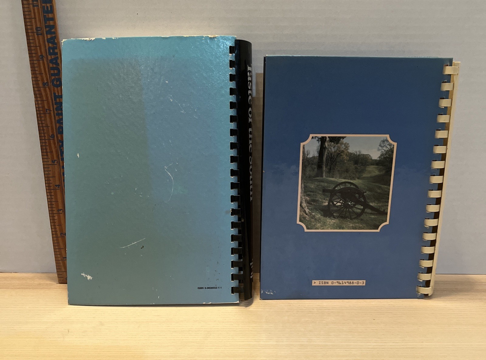 Vintage Mississippi Southern Cookbooks: Taste Of The South and Vintage Vicksburg