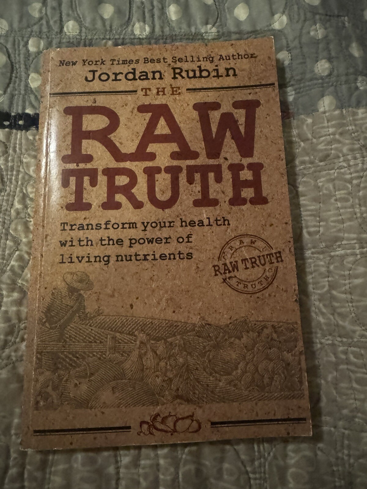 The Raw Truth by Jordan Rubin (Paperback 2010) 1st Edition