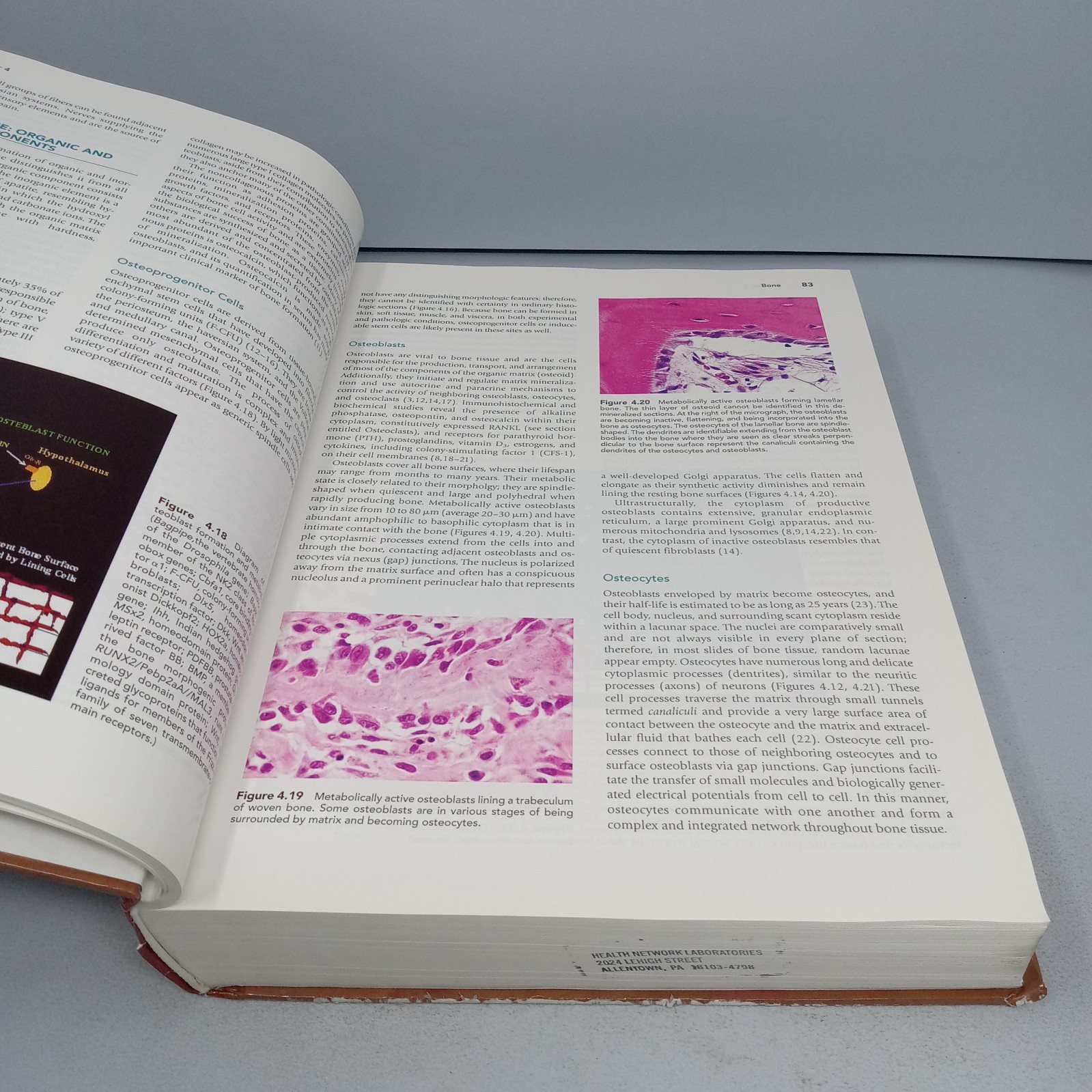 Histology for Pathologists: 3rd Edition 2007 Hardcover by Stacey E. Mills