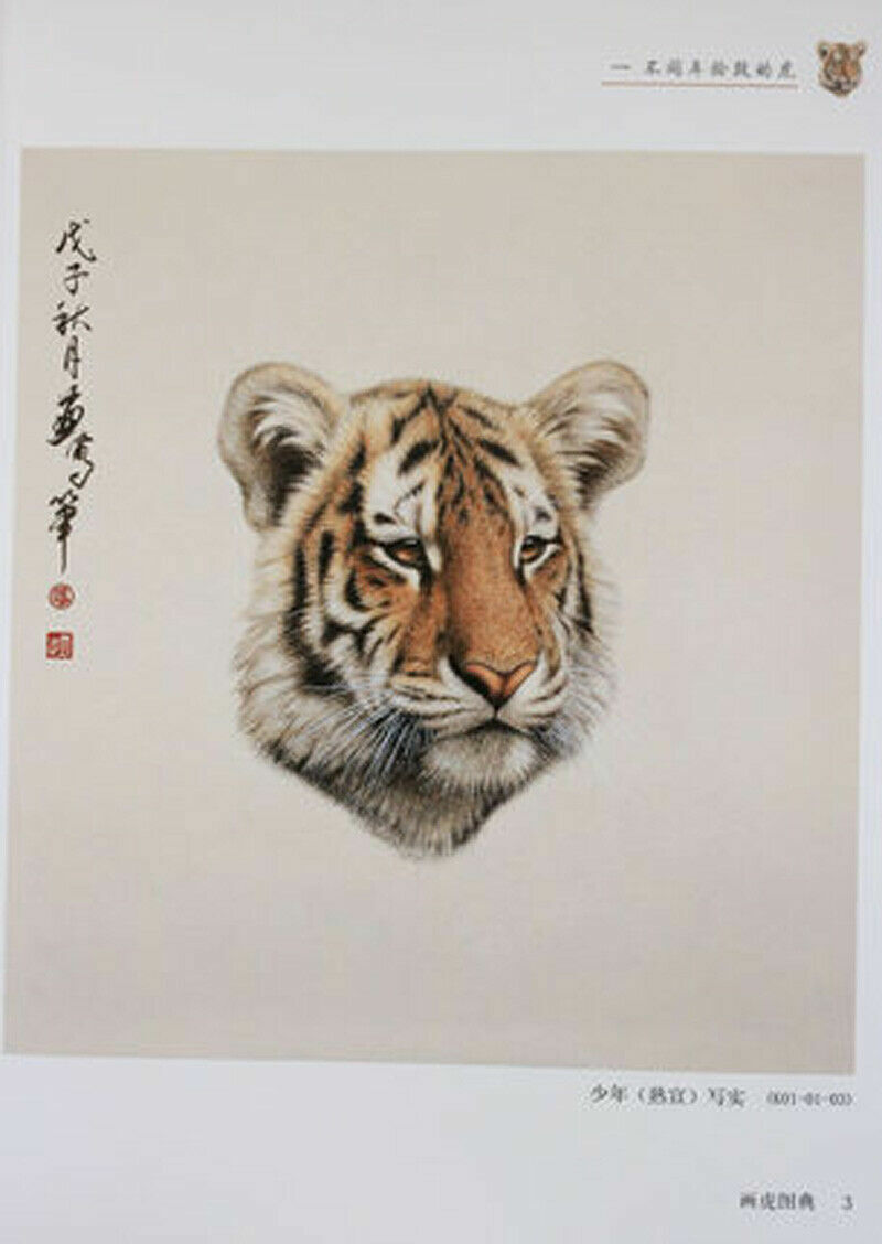 Chinese Ink Painting Gongbi Animal Tiger Drawing Art Book