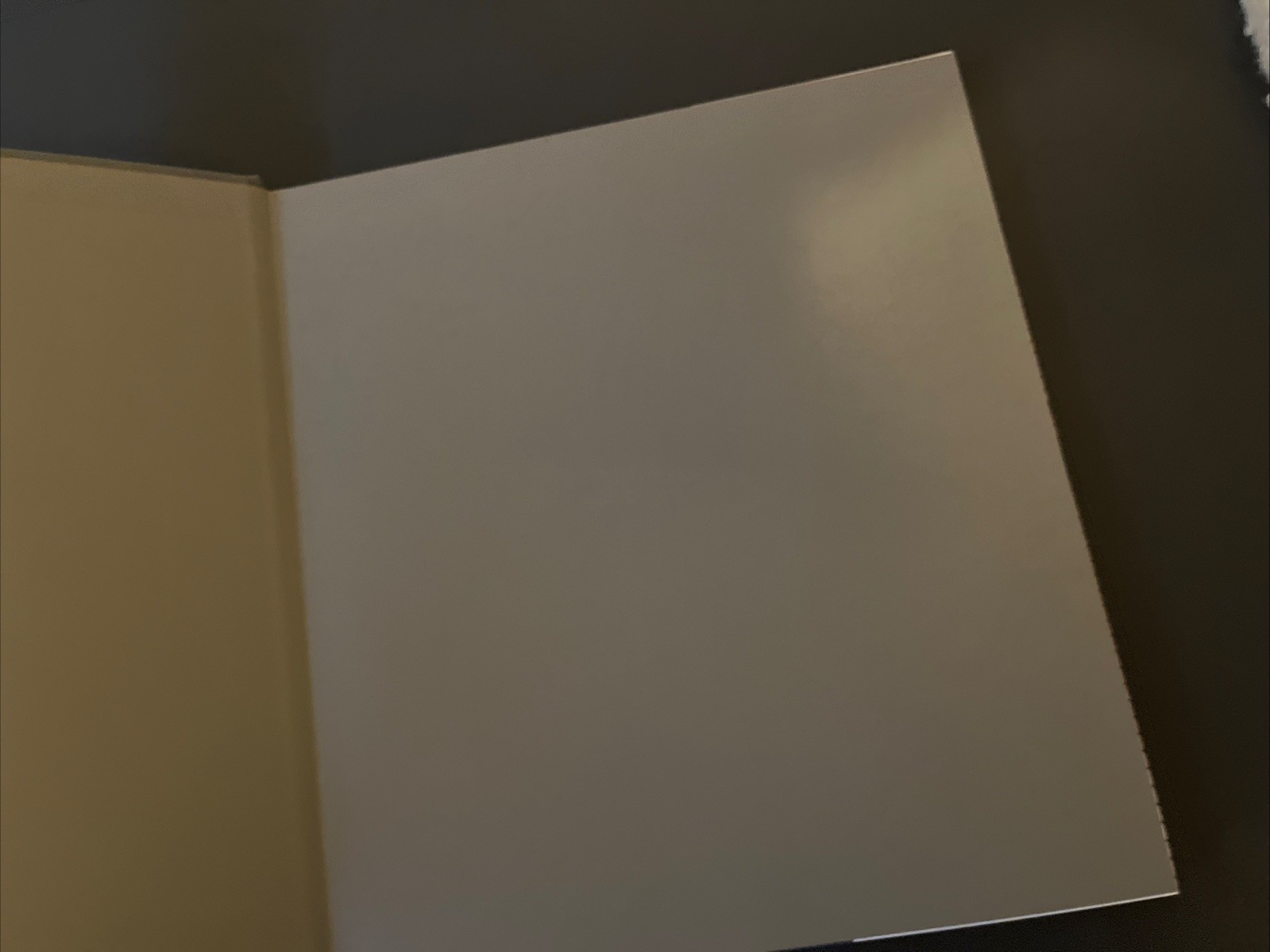 San Francisco MOMA Set Of 2 Books~ For Our Time & Compaign For Art