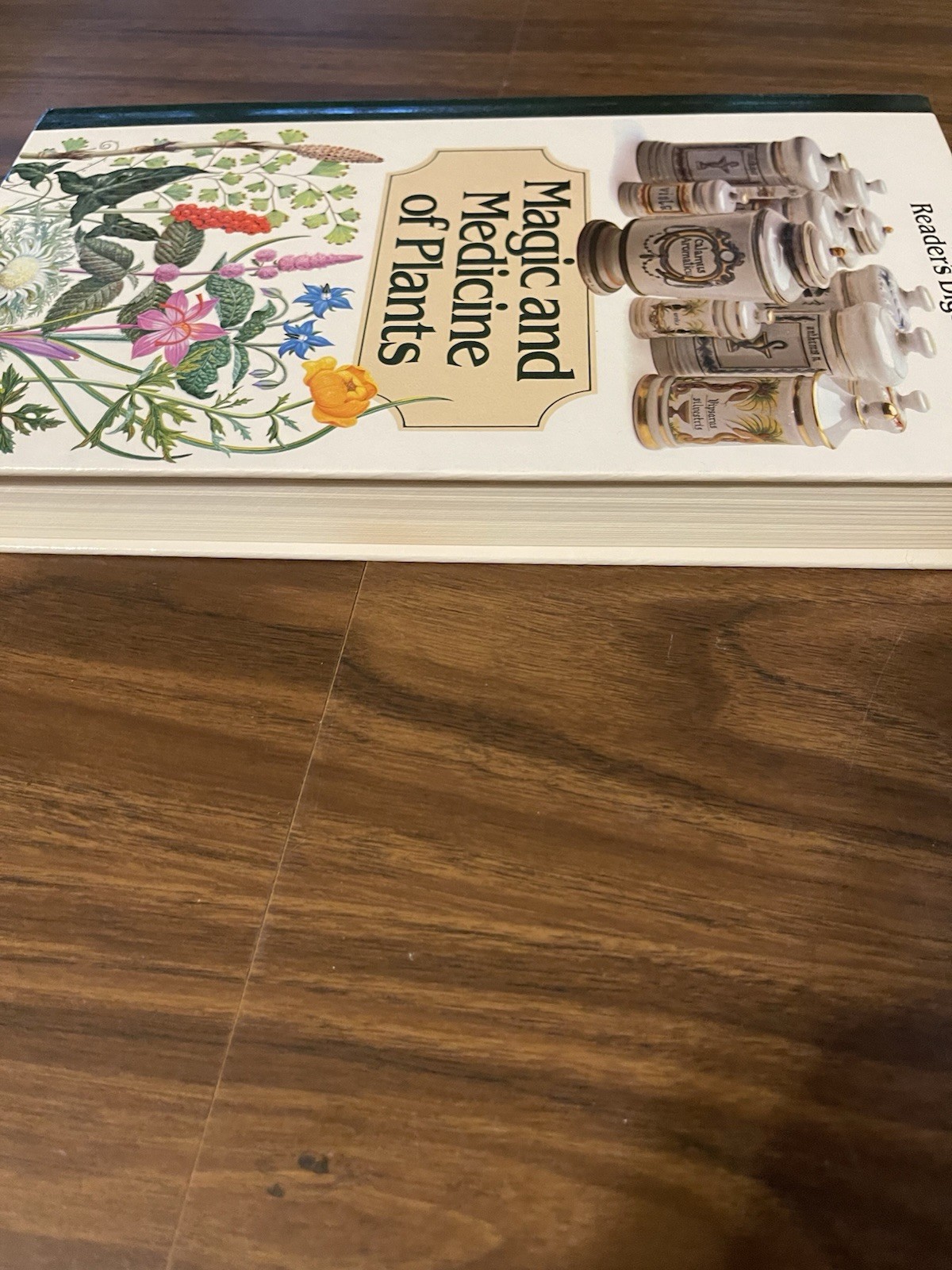 Magic and Medicine of Plants by Reader’s Digest Editors 1986
