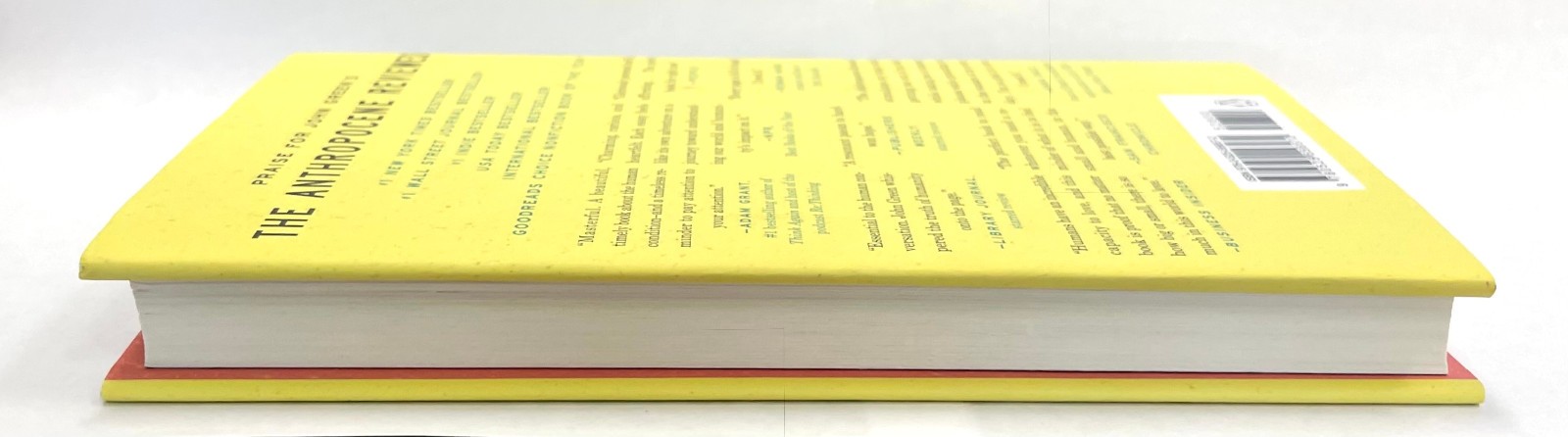 EVERYTHING IS TUBERCULOSIS: The History Of Our Deadliest Infection by John Green