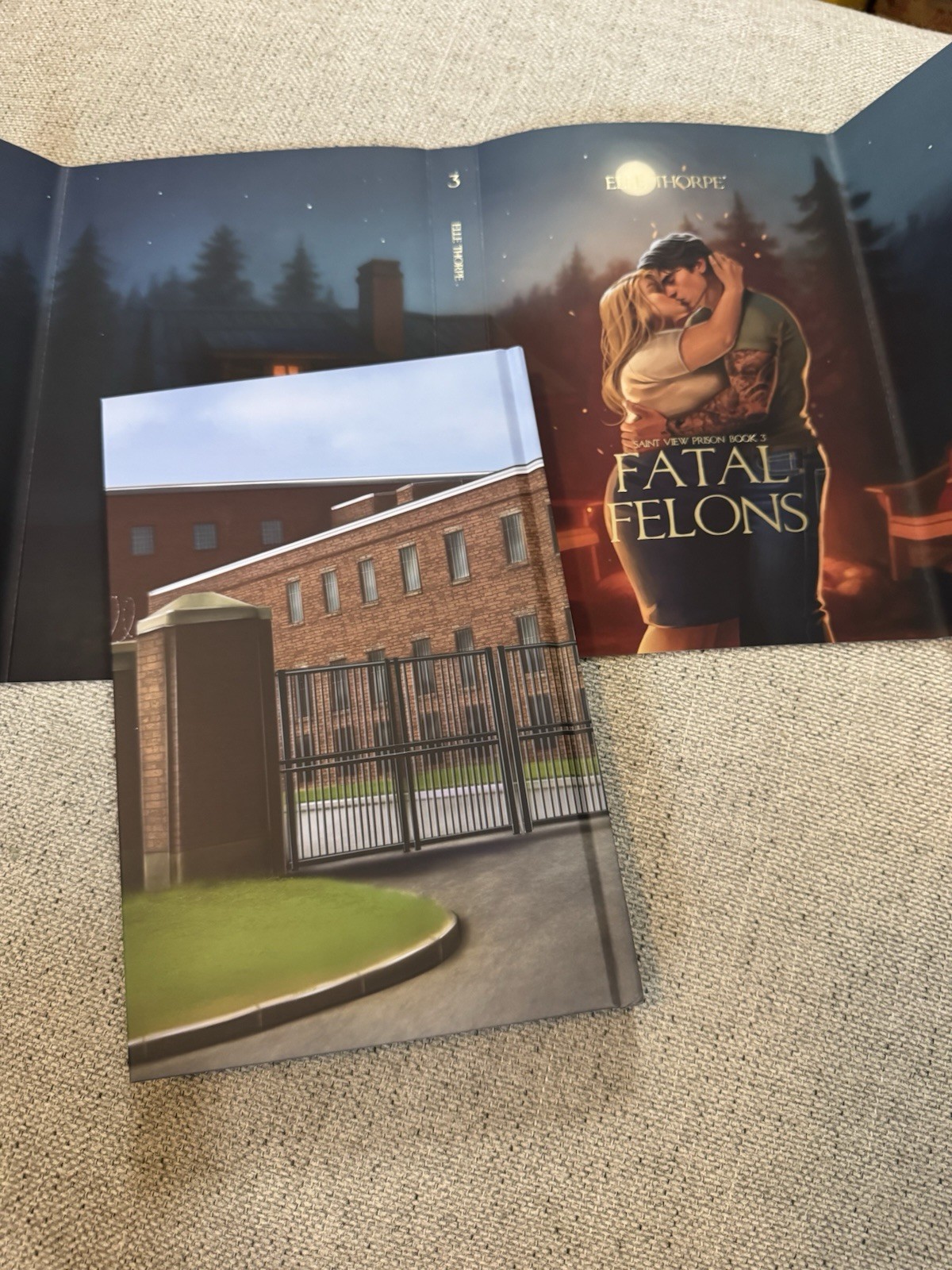 Elle Thorpe Saint View Prison Series Books For Days Crate Special Editions New