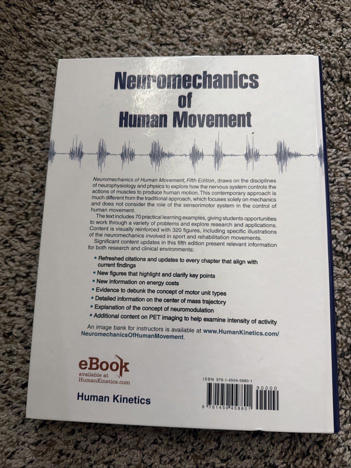 Neuromechanics of Human Movement by Roger M. Enoka (2015, Hardcover)