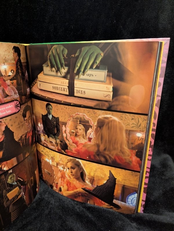 Help Kids enjoy books! Wicked: The Official Visual Companion. Brand New.