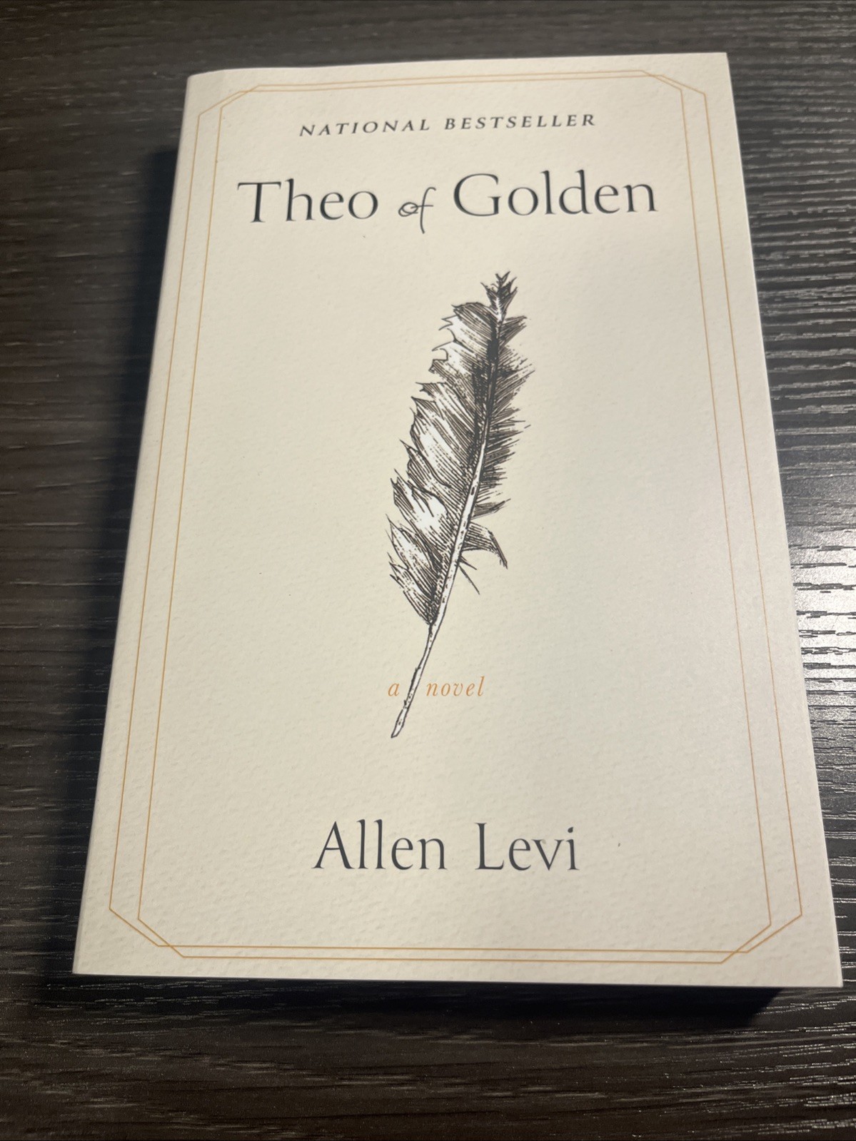 Theo of Golden : A Novel by Allen Levi (2025, Trade Paperback) New