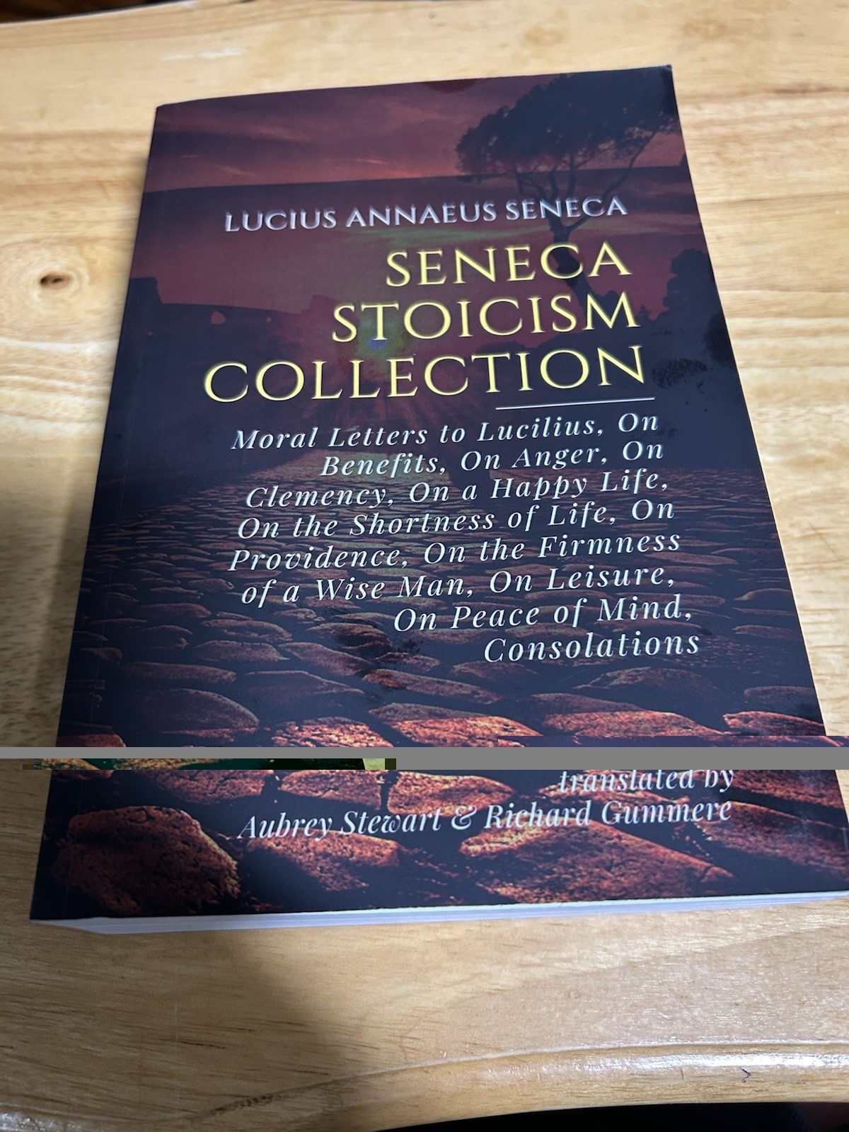 Seneca Stoicism Collection Translated By Aubrey Stewart & Richard Gummere PB