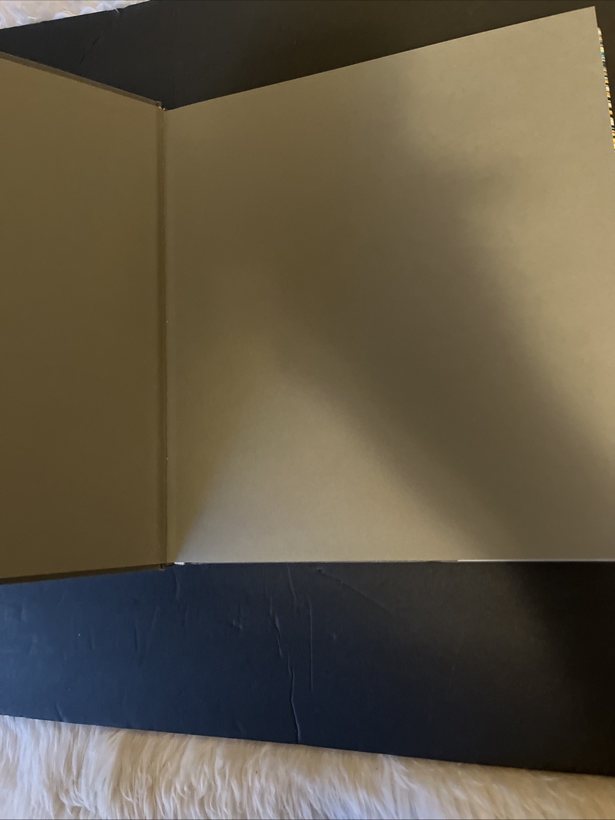 San Francisco MOMA Set Of 2 Books~ For Our Time & Compaign For Art