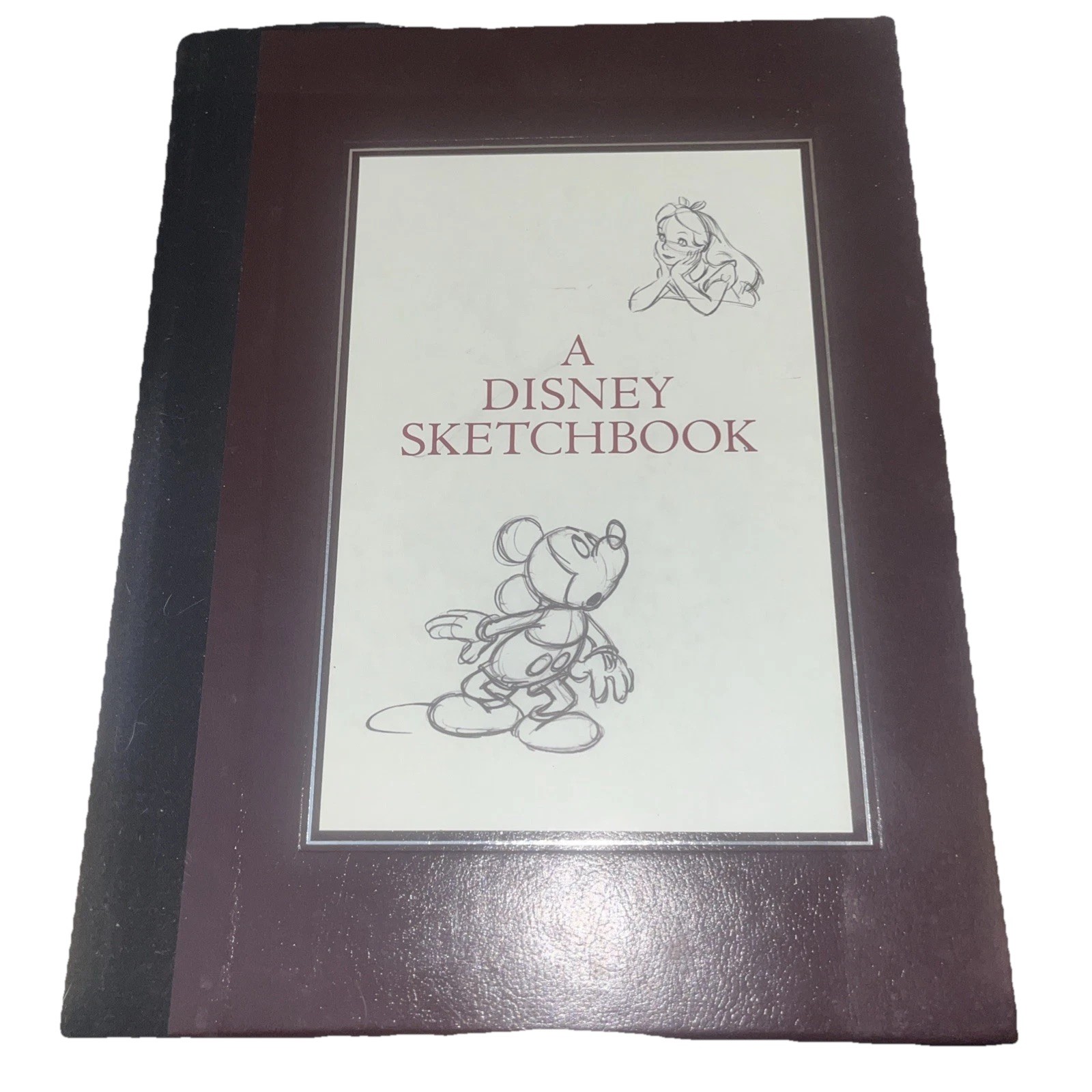 A Disney Sketchbook (Disney Editions Deluxe) Animation Book Ken Shue Hardcover