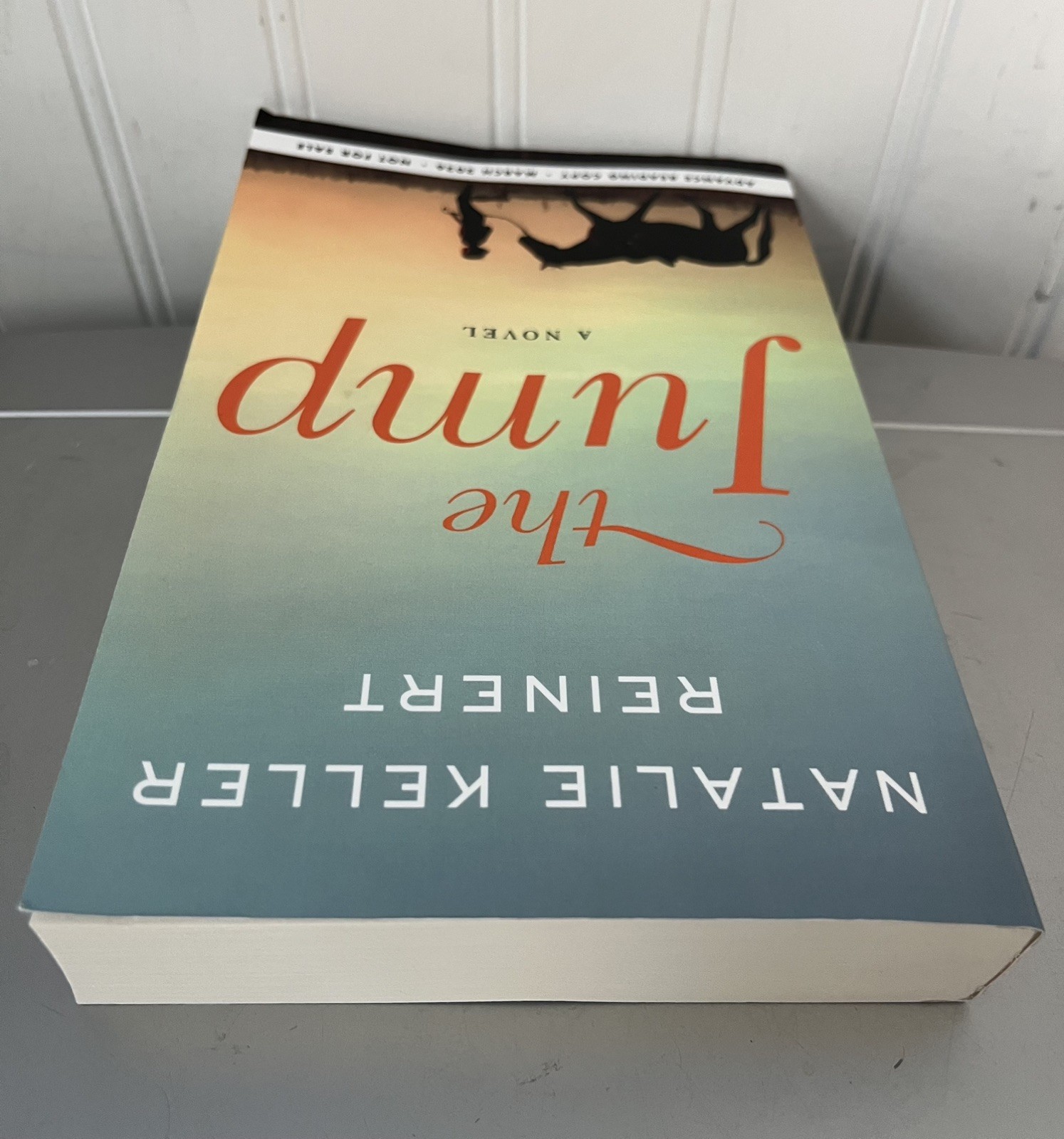 The Jump, NATALIE KELLER REINERT. ARC