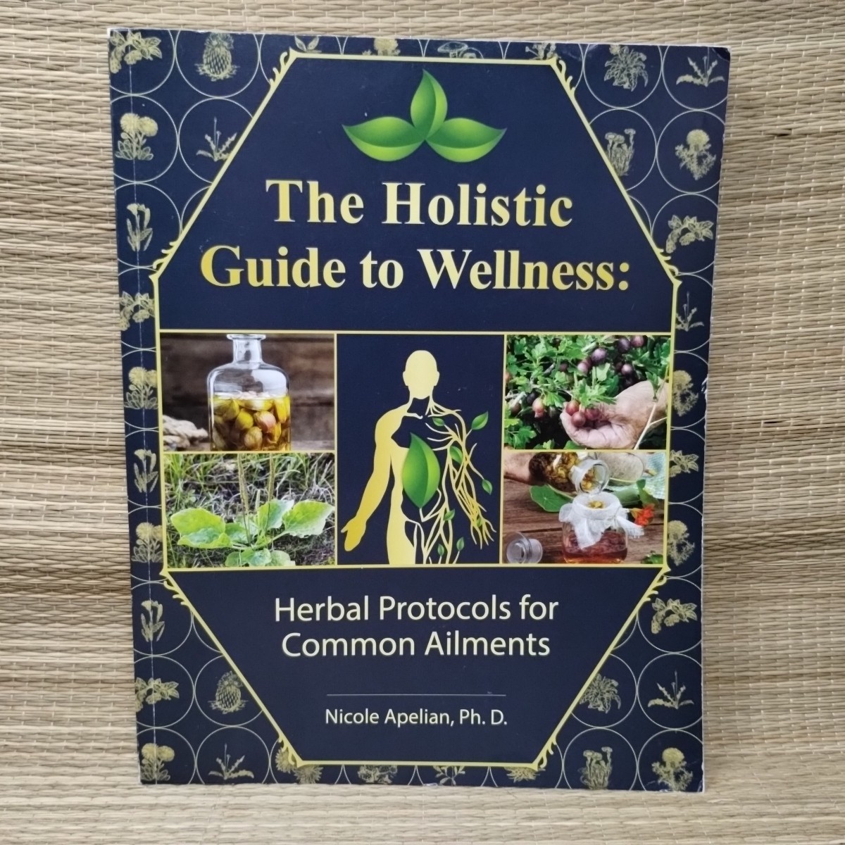 The Holistic Guide to Wellness by Nicole Apelian English Paperback Book VG