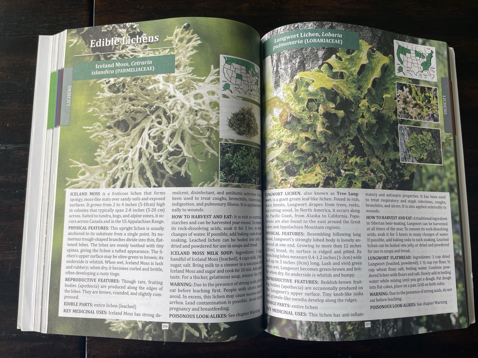 The Forager’s Guide to Wild Foods North American Edition by Nicole Apelian