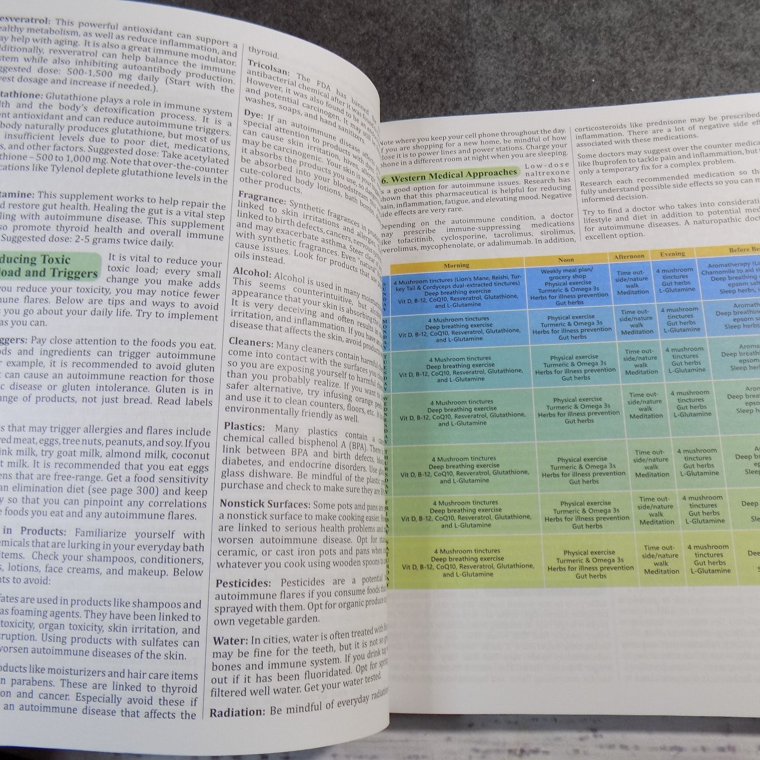 The Holistic Guide to Wellness Apelian 2024 Herbal Protocols Naturopathy Global