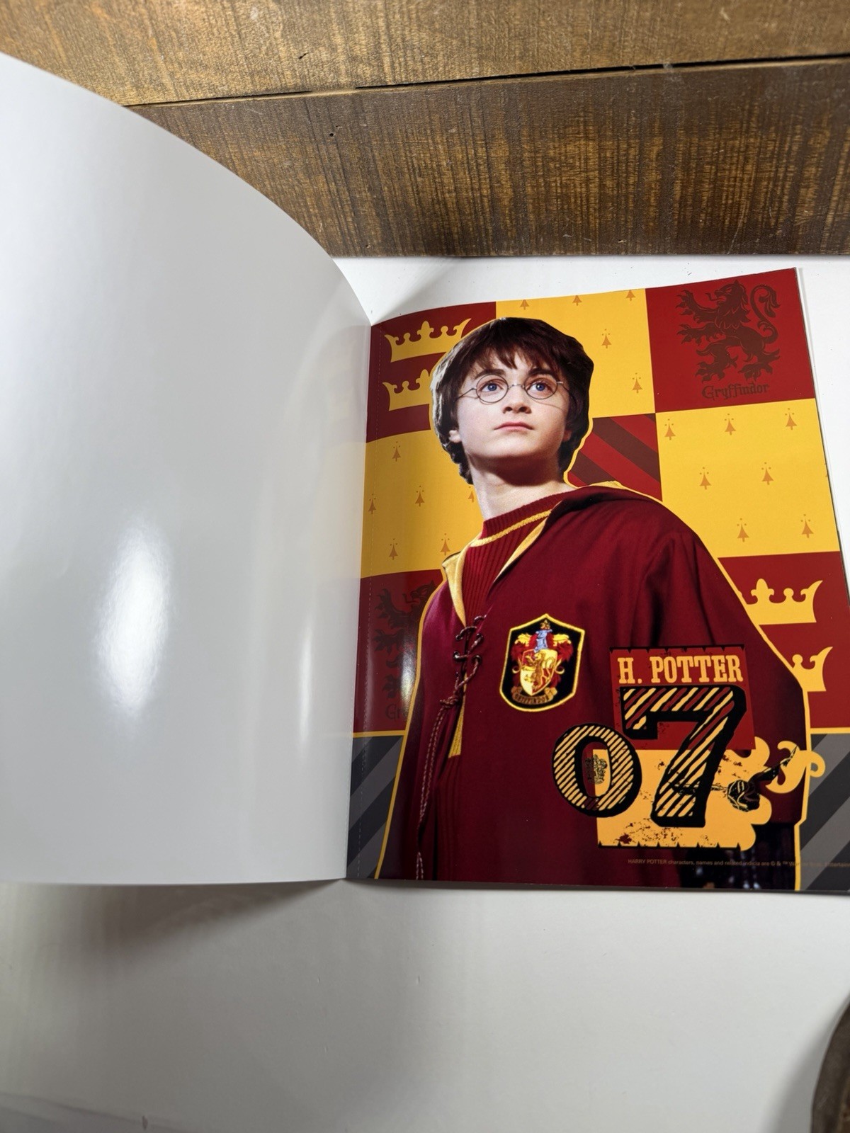 Harry Potter Poster Book 12 Color Posters 8.5″ X 11″