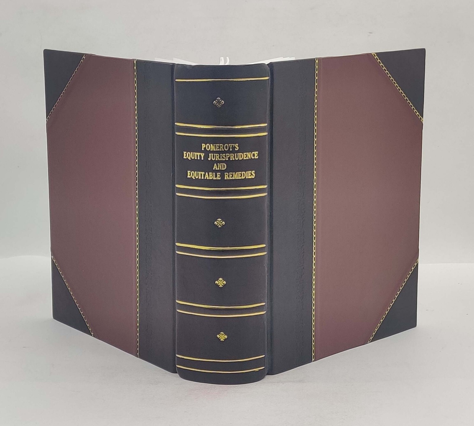 Pomeroy’S Equity Jurisprudence And Equitable Remedies [Leather Crafted]