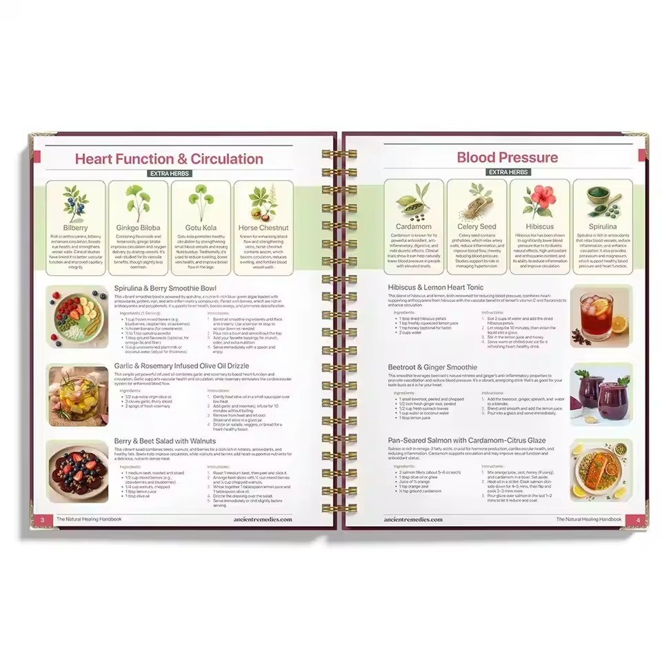 Plant Theme Eating Recipe Human Health Guide Book Spiral Binding Natural Book