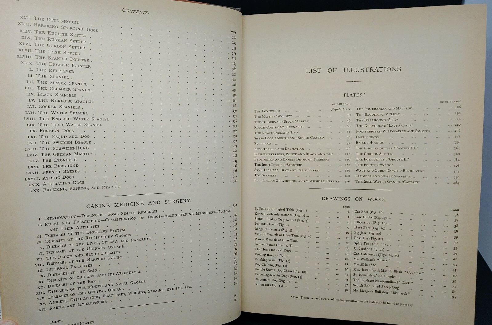 1984 REPRINT 1879-1881 CLASSIC ENCYCLOPEDIA OF THE DOG by VERO SHAW Art History