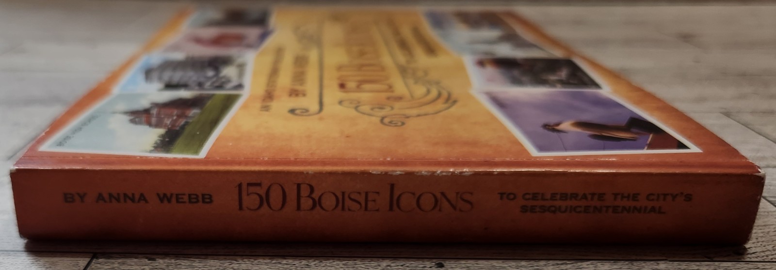 150 Boise Icons to Celebrate the City’s Sesquicentennial ~ Anna Webb ~ 2013