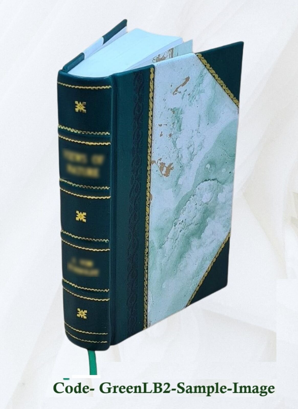 Progress And Poverty 1879 By George Henry [Leather Bound]