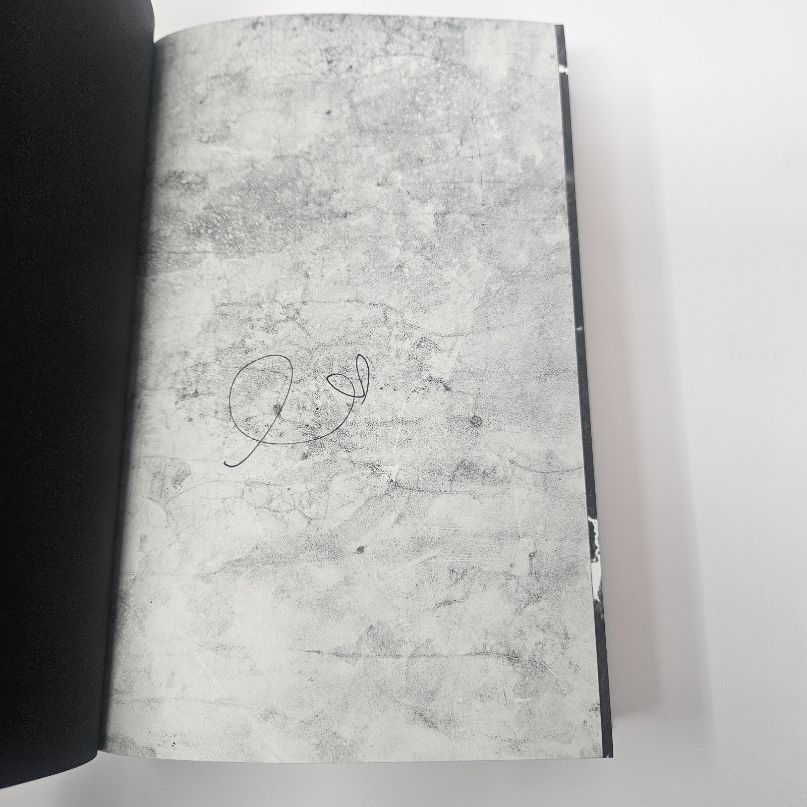 SIGNED! NEW! Brimstone Deluxe Limited Edition By Callie Hart Hardcover